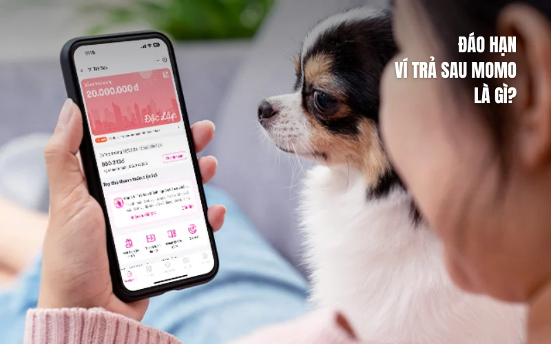 Đáo hạn Ví trả sau MoMo là gì?